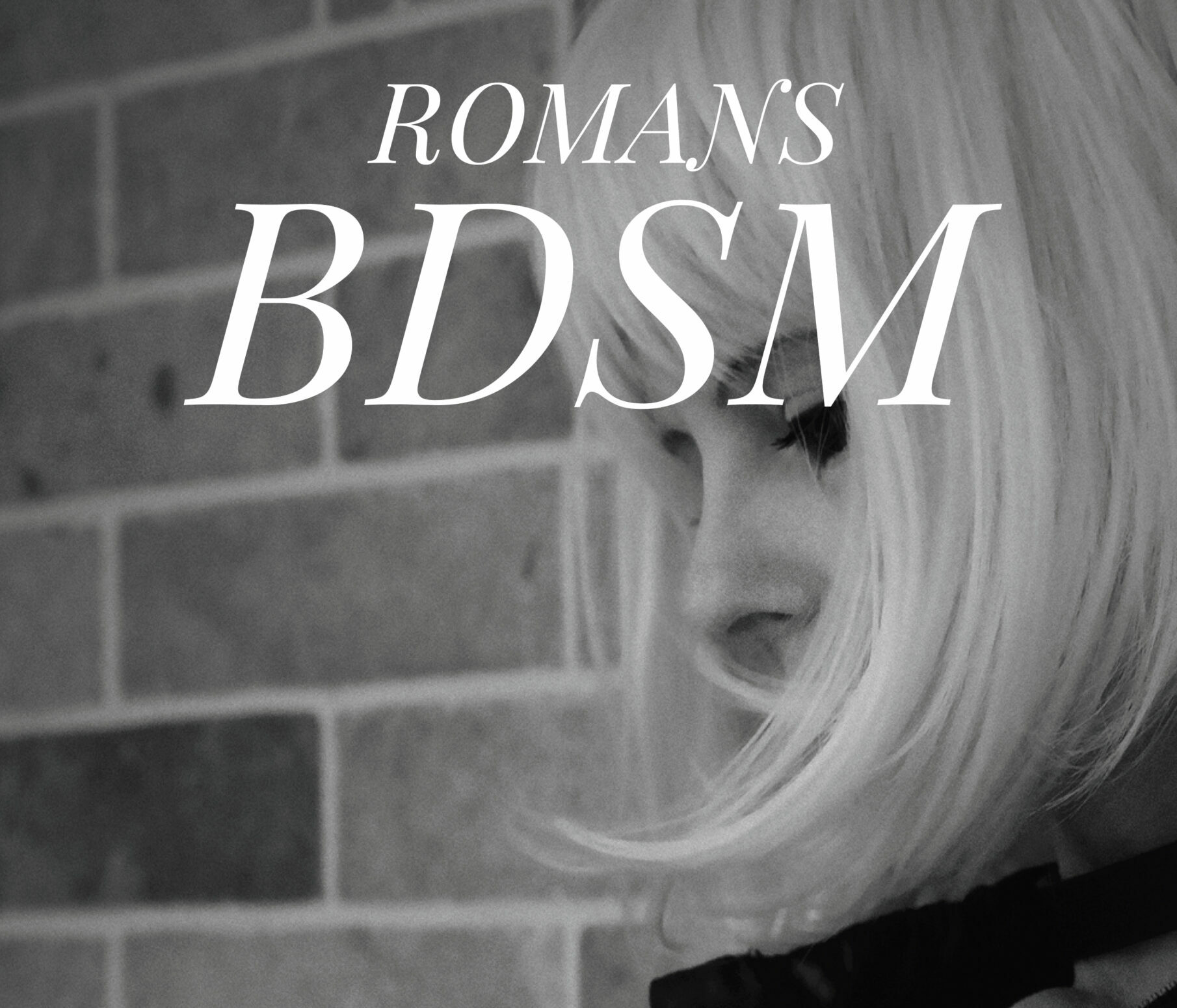 Présentation romans BDSM